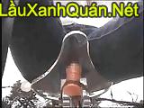  Phim sex online chiếc xe đạp voo giá